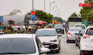 Chợ hoa Mê Linh ùn tắc ngày giáp Tết