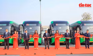 Hà Nội khai trương 4 tuyến xe buýt điện