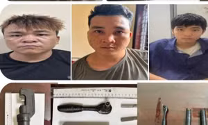 Triệt phá băng nhóm tàng trữ ma túy, trộm cắp xe máy bán ra nước ngoài