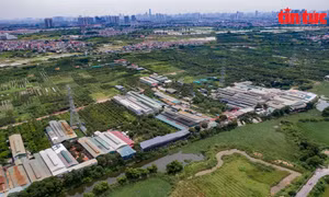 Ảnh 360: ‘Cụm công nghiệp’ xây dựng trái phép tồn tại nhiều năm ở huyện Hoài Đức 
