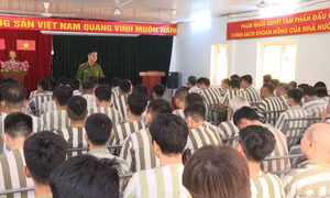 Hướng dẫn đặc xá năm 2026