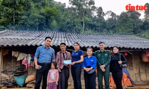 Kỷ niệm một kỳ kiến tập tại Báo Tin tức