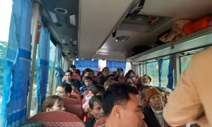 Xử lý nghiêm xe khách 29 chỗ nhồi nhét 50 người và lái xe sử dụng giấy phép giả
