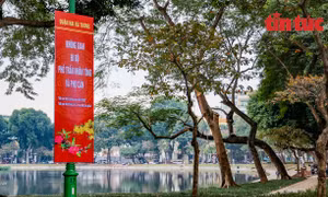 Phố đi bộ phố Trần Nhân Tông (Hà Nội) và phụ cận chính thức hoạt động