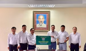 8.500 phần quà cho người dân miền Trung dịp Tết Giáp Thìn 2024