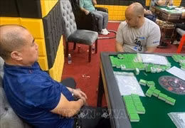 Nghi vấn giải đấu Bridge và Poker có dấu hiệu đánh bạc trá hình