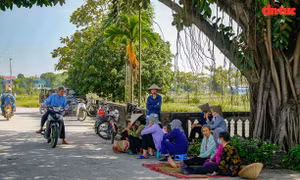 Hà Nội lên phương án lưu trữ rác tạm thời