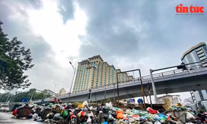 Hà Nội quyết định thanh tra về công tác vệ sinh môi trường