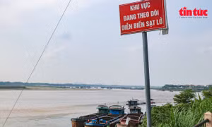 Phú Thọ: Làm rõ thông tin, phản ánh vi phạm từ hoạt động khai thác cát thuộc khu vực giáp ranh
