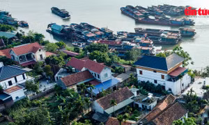 Yêu cầu dừng khai thác cát trên sông Đà vì hàng chục ngôi nhà bị nứt toác