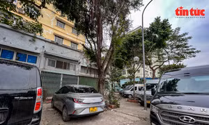 Trưng dụng ki-ốt bỏ hoang làm điểm tập kết xe dù, bến cóc