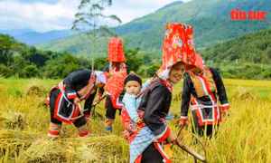 Khai thác giá trị văn hóa dân tộc để xây dựng thương hiệu du lịch cộng đồng Bình Liêu