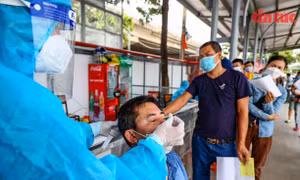 Test nhanh COVID-19 cho lái xe 'luồng xanh' tại Hà Nội