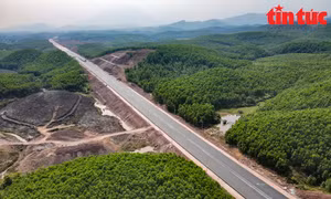 Cao tốc Vân Đồn - Móng Cái (Quảng Ninh) được khởi công từ tháng 4/2019, với tổng vốn đầu tư là 11.195 tỷ đồng.
