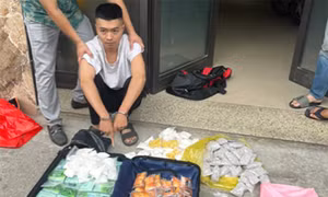 Thủ kho câu kết với người nước ngoài để vận chuyển ma tuý