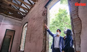 Hà Nội tu bổ biệt thự cổ gần 1.000 m2 bỏ hoang trên phố Trần Hưng Đạo
