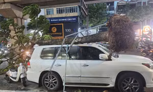 Hà Nội chỉ đạo toàn diện ứng phó bão số 3 WIPHA