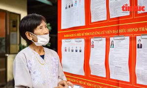 Hình ảnh ấn tượng về cụ bà 101 tuổi tự mình đi bỏ phiếu bầu cử