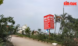 Văn phòng giao dịch BĐS mọc lên khắp nơi, kể cả trên tuyến đường đê tại huyện Đông Anh, Hà Nội. Ảnh: Trung Nguyên.