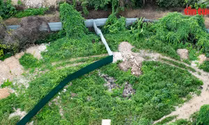 Xuất hiện hàng rào 'lạ' mọc trên đất nông nghiệp chưa giải phóng mặt bằng