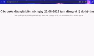 Lỗi hệ thống trong ngày đầu tiên đấu giá biển số xe