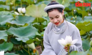 Sen trắng vào mùa, giới trẻ Hà Nội đổ xô ra ngoại thành 'sống ảo'