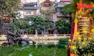 Làng hoa Ngọc Hà và xác 'khủng long' B-52