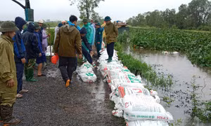 Hà Nội sẵn sàng phương án sơ tán dân do mực nước các sông lên nhanh