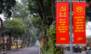 Hà Nội rợp màu cờ hoa mừng Đảng mừng Xuân, đón Tết Nguyên đán 2024