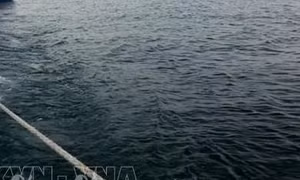 Phát hiện một tàu lạ trôi dạt vào ven bờ biển thị trấn Lăng Cô, Thừa Thiên - Huế