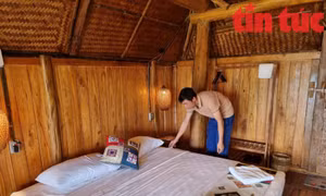Bí thư Chi bộ 8x tiên phong giảm nghèo