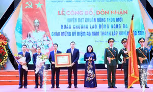 Huyên Sóc Sơn (Hà Nội) hướng tới xây dựng nông thôn mới nâng cao, kiểu mẫu
