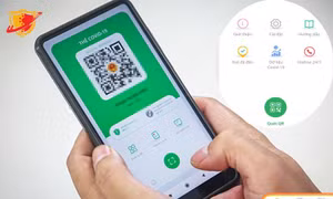 Phiên bản mới của app PC-COVID cập nhật hotline 24/7 và theo dõi dữ liệu COVID-19