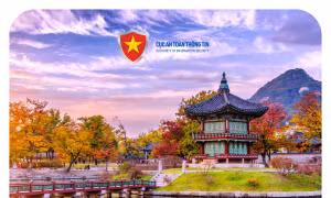 Gia tăng tình trạng lừa đảo tổ chức tour du lịch cuối năm