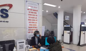 Hỗ trợ lao động thất nghiệp tái hòa nhập thị trường lao động
