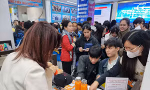 Thị trường lao động ngành công nghệ thông tin bước vào giai đoạn sàng lọc