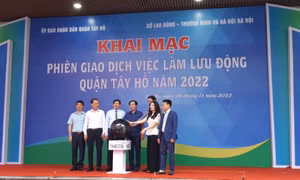 Kết nối phiên giao dịch việc làm dịp cuối năm