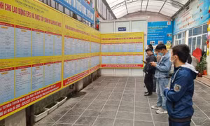 Kết nối việc làm dành cho lao động từng đi xuất khẩu lao động Hàn Quốc, Nhật Bản