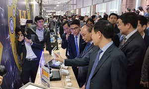 Nâng cao thứ hạng của Việt Nam trên 'đấu trường' công nghệ thông tin thế giới