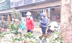 Hà Nội hướng đến kết nối sản phẩm nông sản an toàn, chất lượng