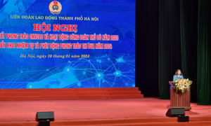 Công đoàn Hà Nội: Hơn 87.000 đơn vị, doanh nghiệp nợ bảo hiểm xã hội