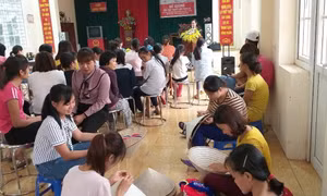 Đào tạo nghề cho thanh niên ngoại thành phát triển sinh kế bền vững