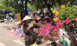 Lao động tự do sẽ được hỗ trợ như thế nào từ gói 26.000 tỷ đồng?