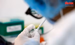 Công nghệ giải mã ADN mới: Bước đột phá tìm lại tên cho liệt sĩ