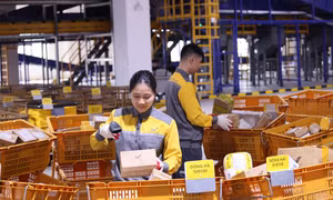 Bưu gửi trong dịp gần Tết tăng từ 30-50%