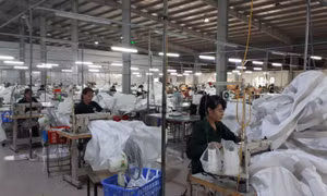 Phát triển đối tượng BHXH bắt buộc: Cần giải pháp căn cơ