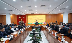 Tập trung nghiên cứu các vấn đề triết học của thời đại số