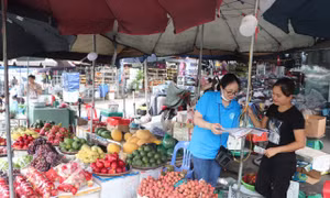Phát triển được 56.572 người tham gia BHXH tự nguyện và BHYT gia đình