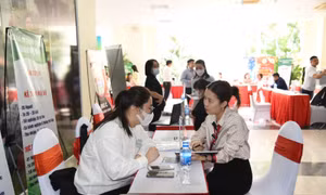 Giúp sinh viên tiếp cận với thị trường lao động