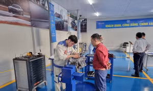Lan toả Ngày Kỹ năng thanh niên thế giới năm 2024